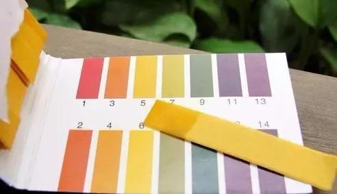 一般是因为疾病或者药物因素,不是外界的食物所能决定的,通过饮食改变酸碱平衡本身就是一种伪科学。