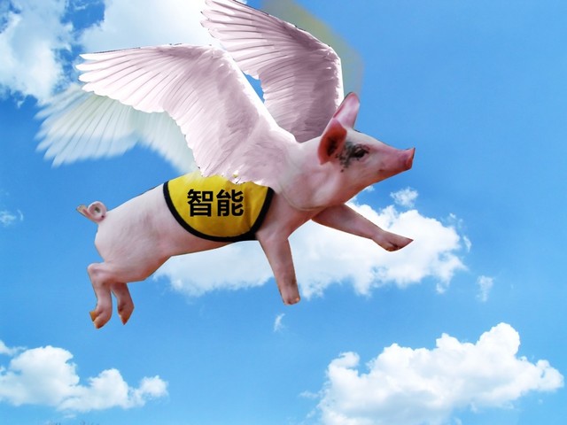 站在风口的“智能猪”真能飞起来么？