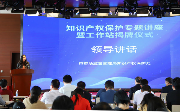知识产权保护处领导杨红柳发表讲话